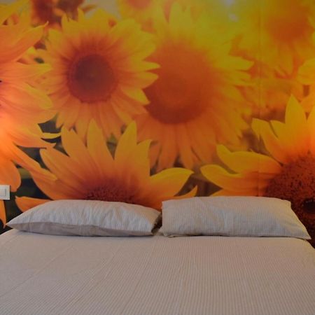El Ramillete Apartment Soria Ngoại thất bức ảnh
